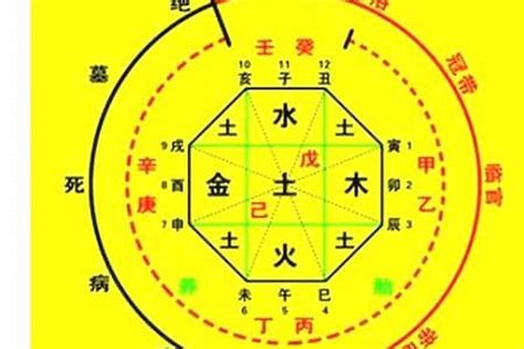 八字十神查詢|八字十神在线排盘,十神四柱排盘查询,四柱十神排盘